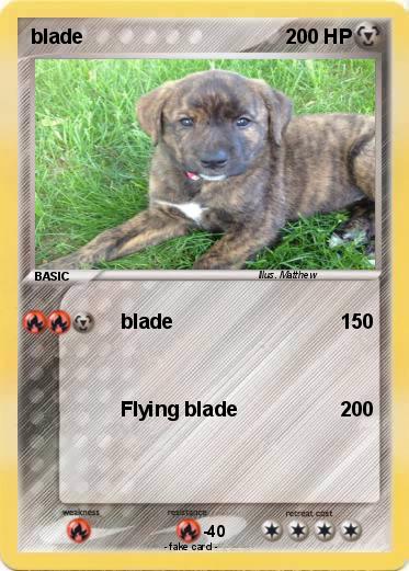 Pokemon blade