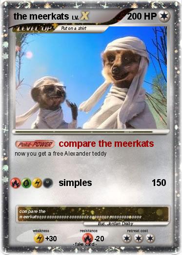 Pokemon the meerkats