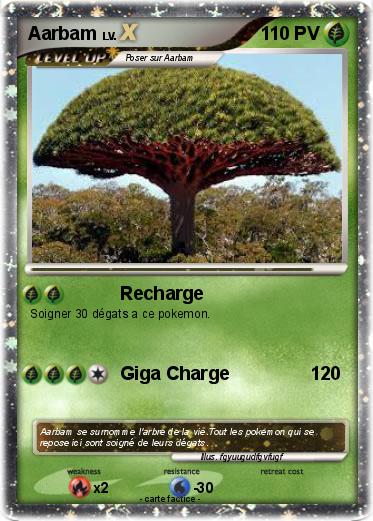 Pokemon Aarbam