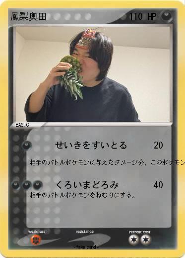 Pokemon 鳳梨奥田