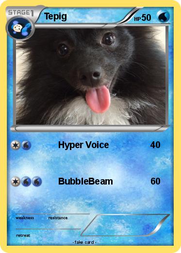 Pokemon Tepig