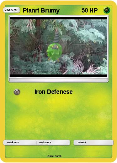 Pokemon Planrt Brumy
