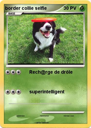 Pokemon border collie selfie