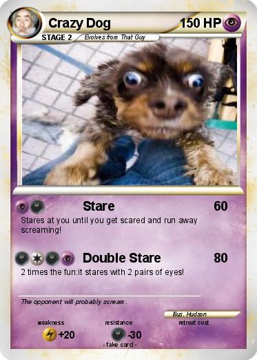 Pokemon Crazy Dog