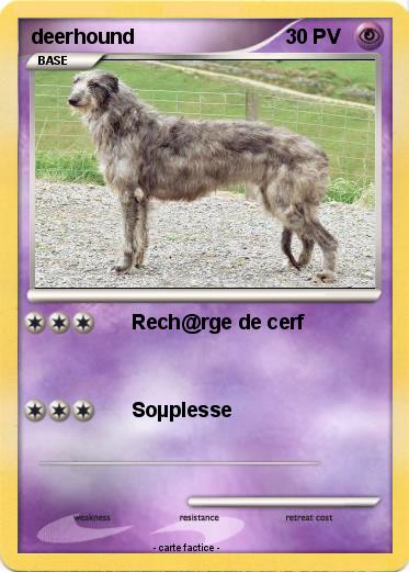 Pokemon deerhound