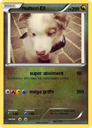 Pokemon hudson EX