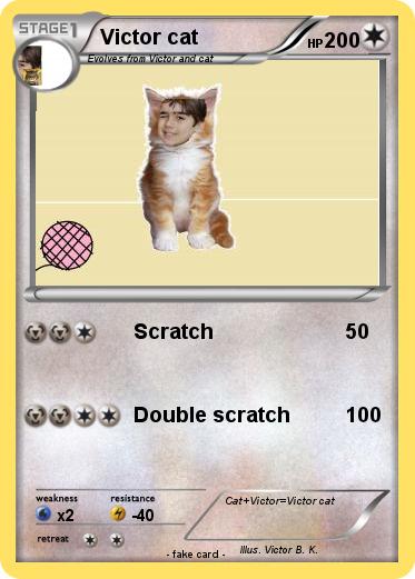 Pokemon Victor cat