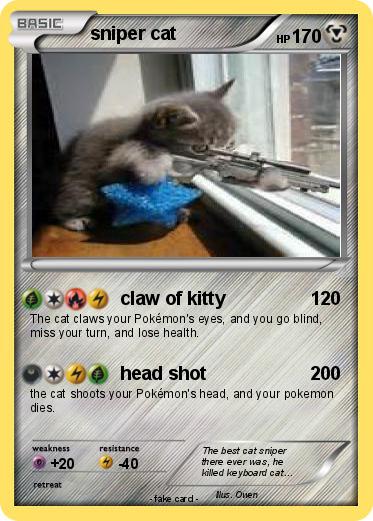 Pokemon sniper cat