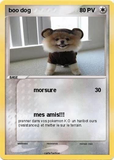 Pokemon boo dog