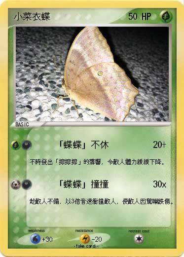 Pokemon 小菜衣蝶