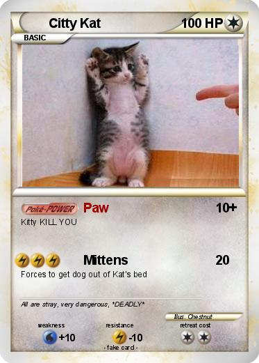 Pokemon Citty Kat