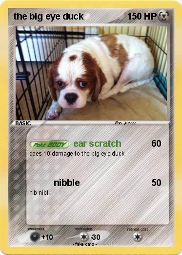 Pokemon the big eye duck