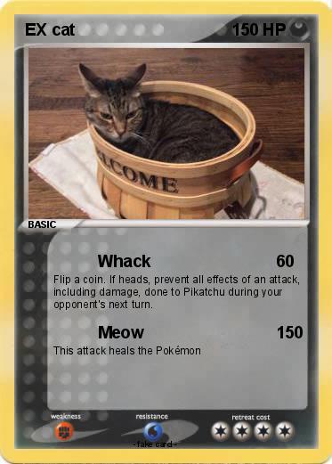 Pokemon EX cat