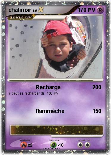 Pokemon chatinoir