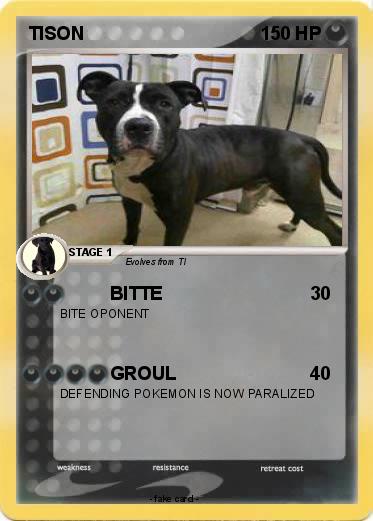 Pokemon TISON