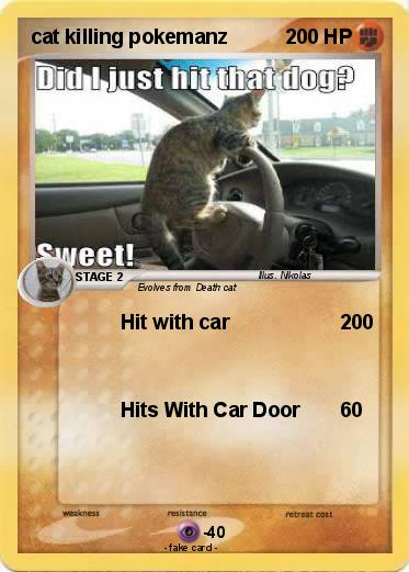 Pokemon cat killing pokemanz