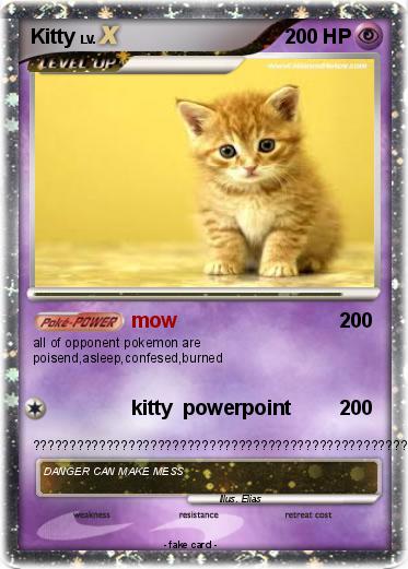 Pokemon Kitty