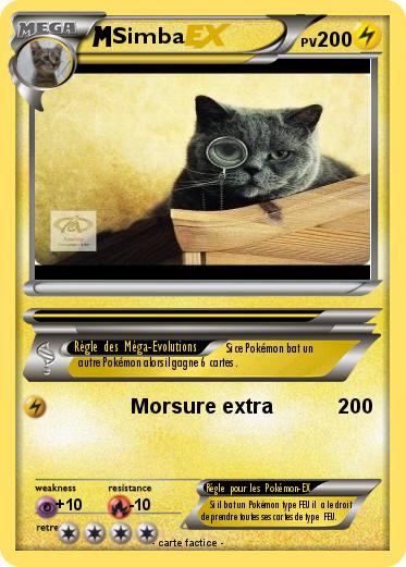 Pokemon Simba