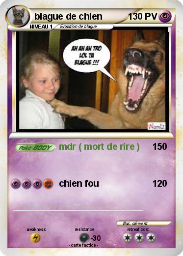Pokemon blague de chien