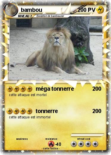 Pokemon bambou