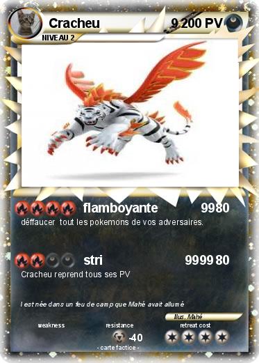 Pokemon Cracheu                    9