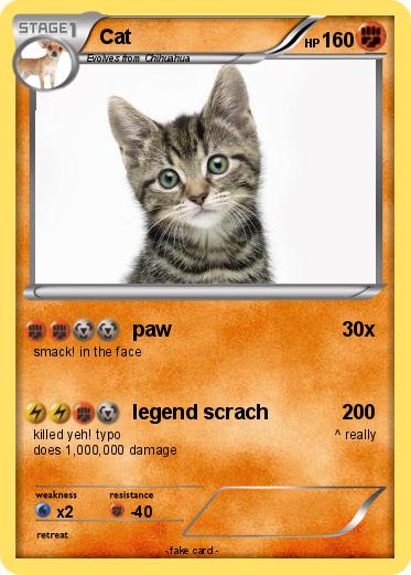 Pokemon Cat