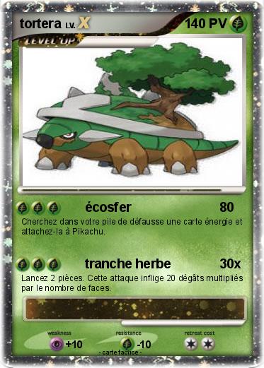 Pokemon tortera