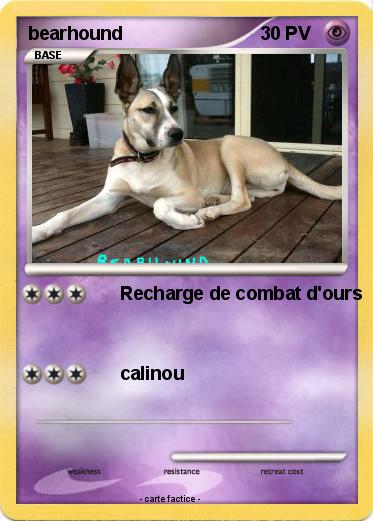 Pokemon bearhound