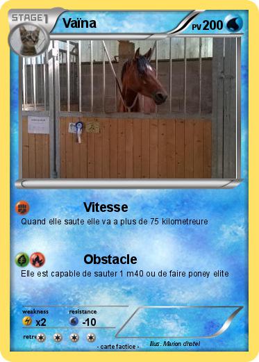 Pokemon Vaïna