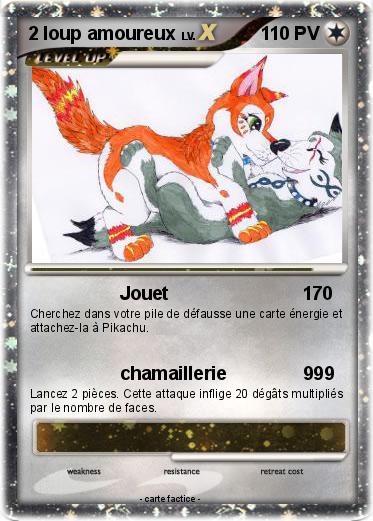 Pokemon 2 loup amoureux