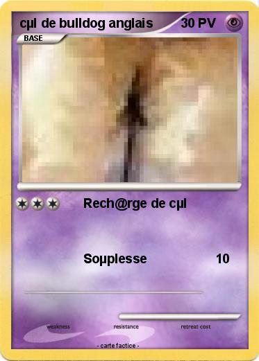 Pokemon cµl de bulldog anglais