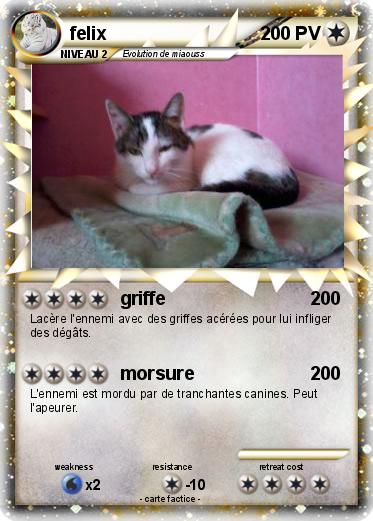 Pokemon felix