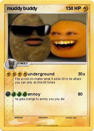 Pokemon muddy buddy