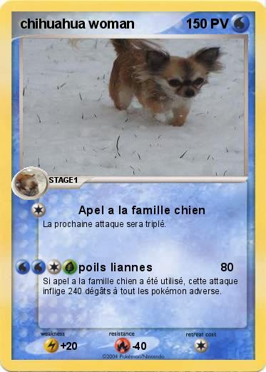 Pokemon chihuahua woman