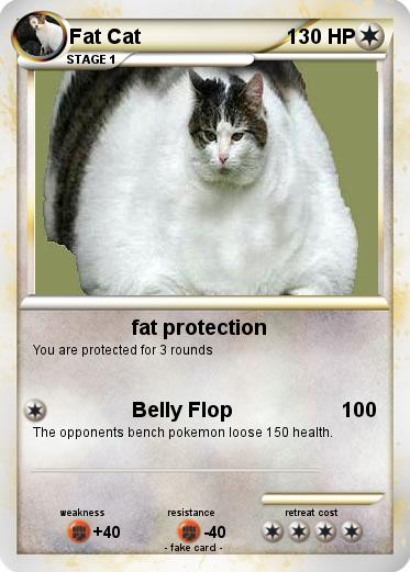 Pokemon Fat Cat