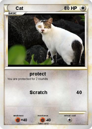 Pokemon Cat