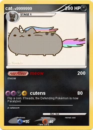 Pokemon cat