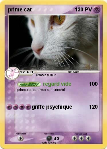 Pokemon prime cat