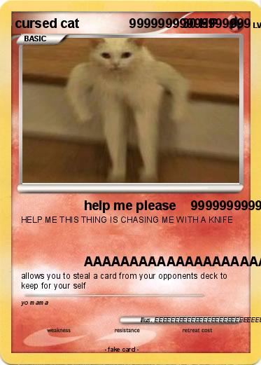 Pokemon cursed cat              99999999999999999