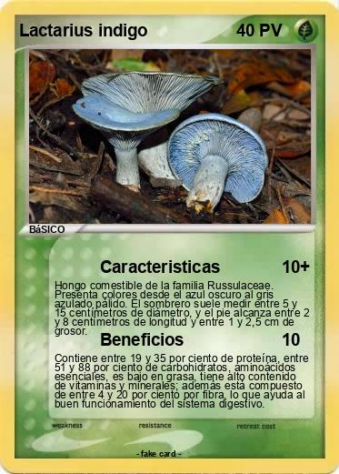 Pokemon Lactarius indigo