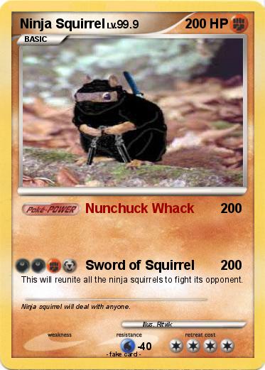 Pokemon Ninja Squirrel