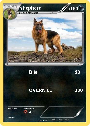 Pokemon shepherd