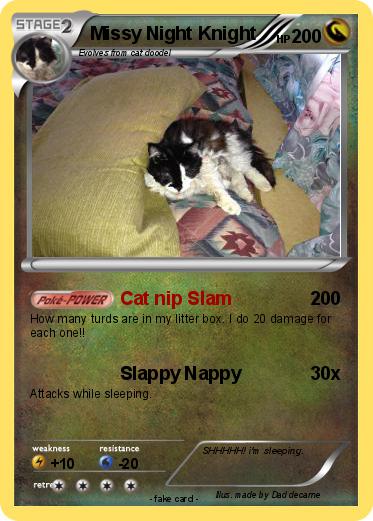 Pokemon Missy Night Knight