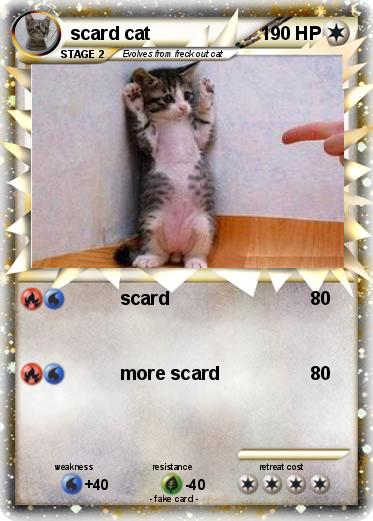 Pokemon scard cat