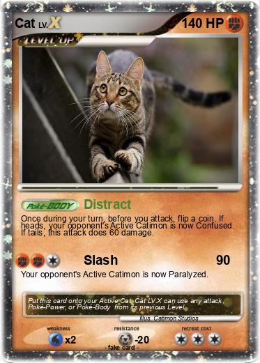 Pokemon Cat
