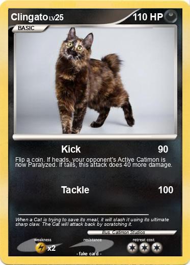 Pokemon Clingato