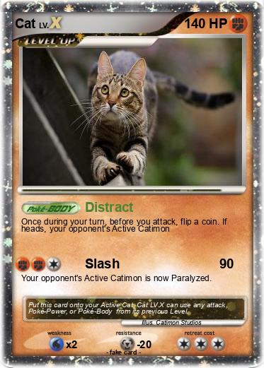 Pokemon Cat