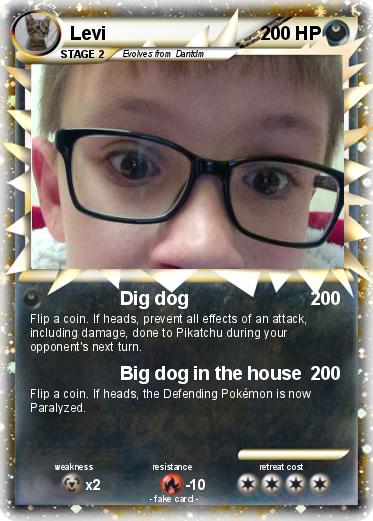 Pokemon Levi