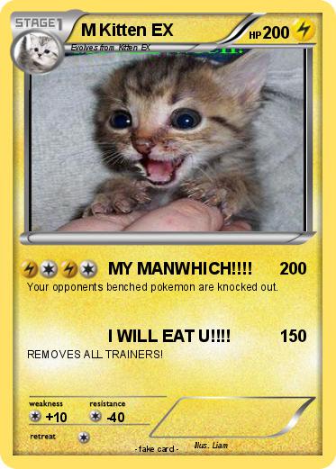 Pokemon M Kitten EX