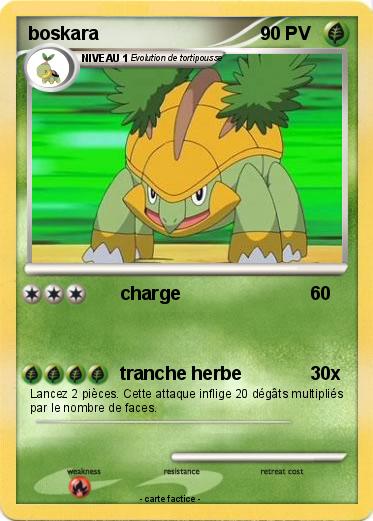 Pokemon boskara